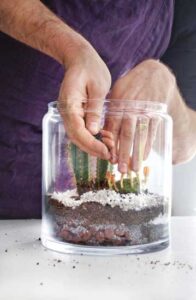 Lake Titicaca Inspired Terrarium Image